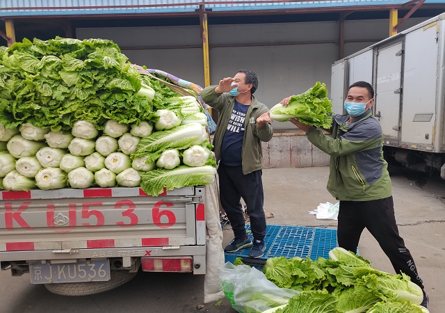 (中国)有限责任韦德网站加大“冬储菜”调运，全力做好保供稳价